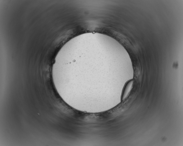 X0000101190470200807251007