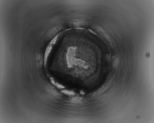 X0000101190471200807251007