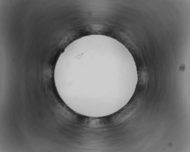 X0000101190472200807251007