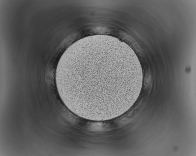 X0000101190473200807251007