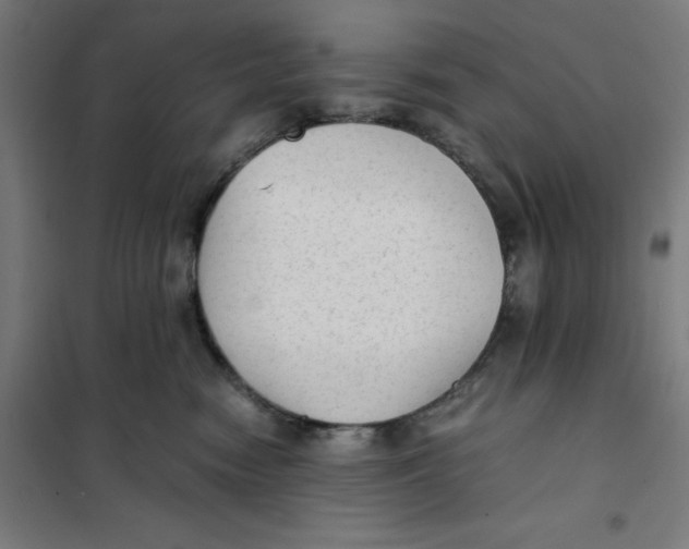 X0000101190474200807251007