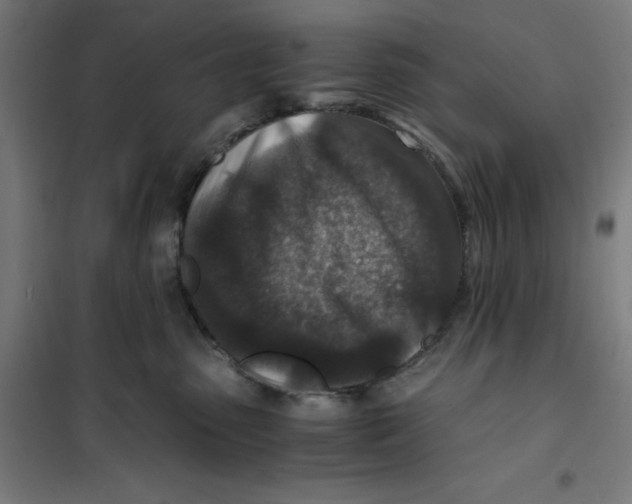 X0000101190475200807251007