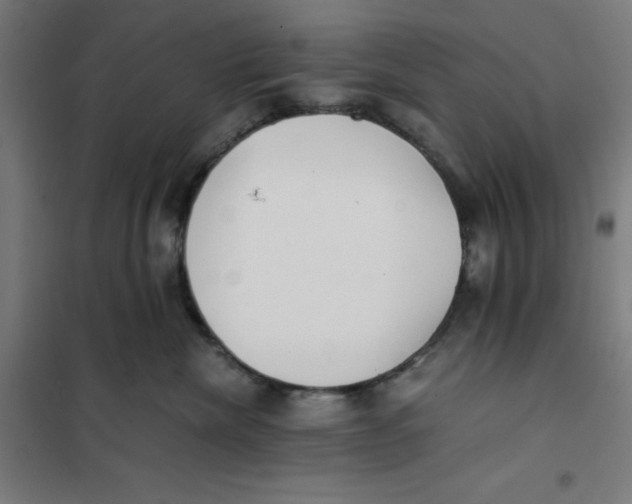 X0000101190476200807251007