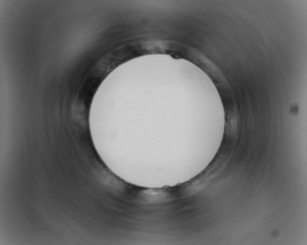 X0000101190477200807251007