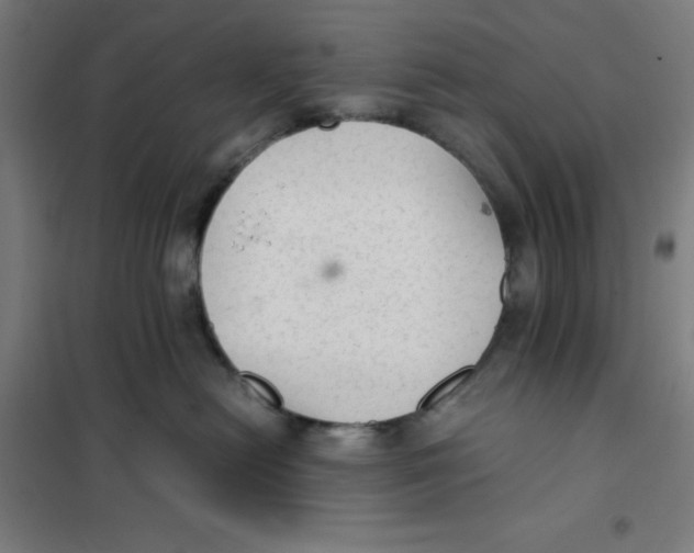 X0000101190478200807251007