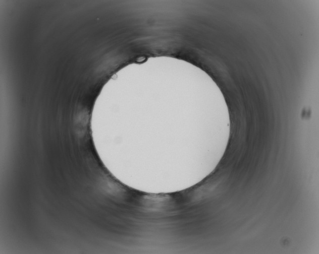 X0000101190480200807251007