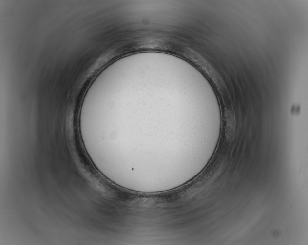 X0000101190482200807251006