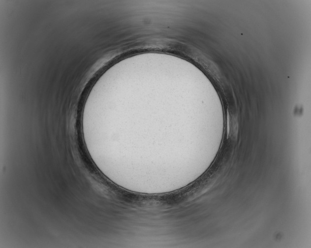 X0000101190483200807251006