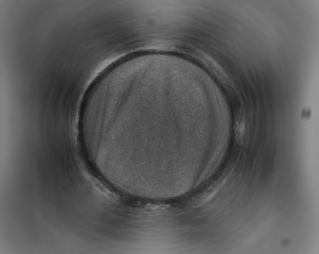 X0000101190484200807251006