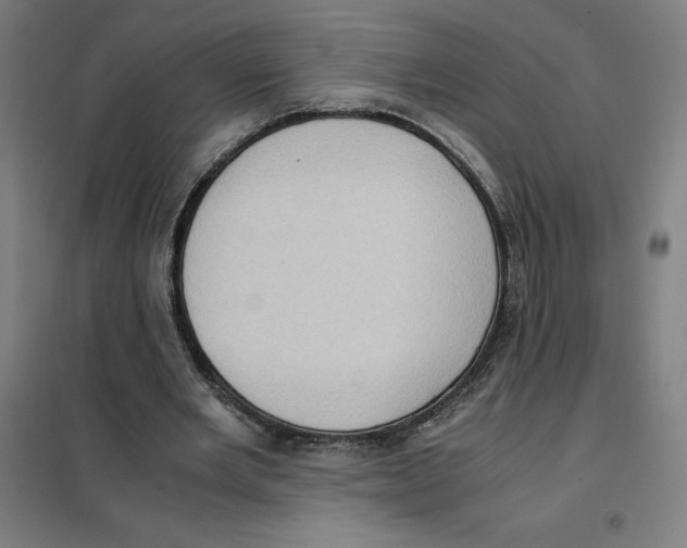 X0000101190485200807251006
