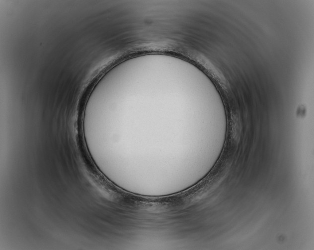 X0000101190486200807251006