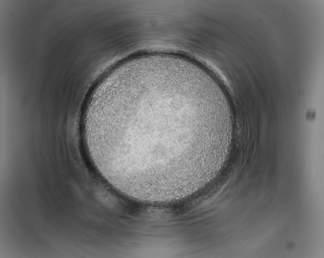 X0000101190487200807251006