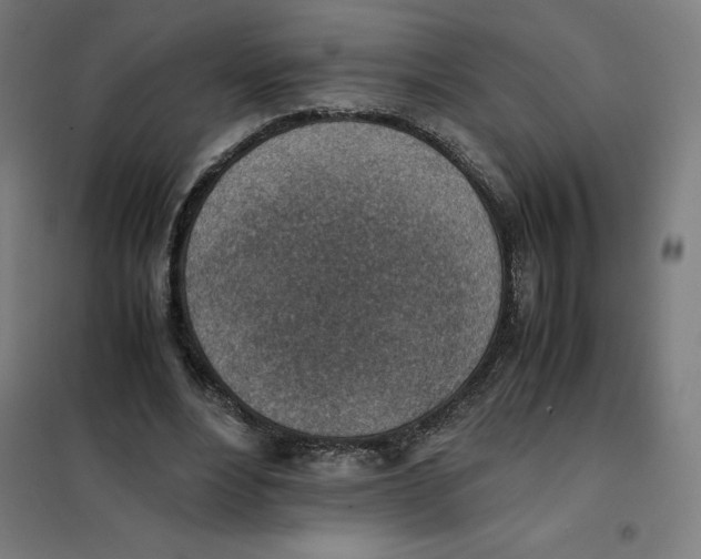X0000101190488200807251006