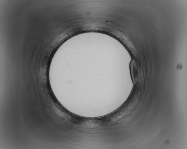X0000101190489200807251006