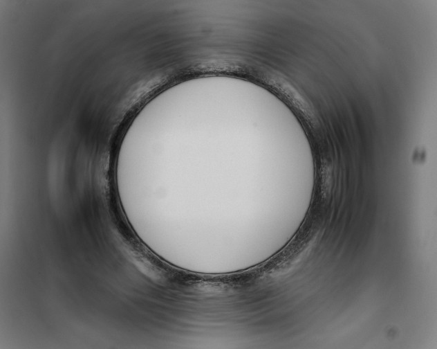 X0000101190490200807251006