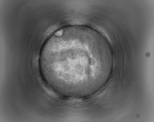 X0000101190491200807251006
