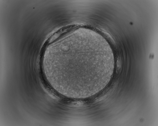 X0000101190492200807251006