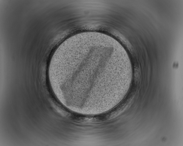 X0000101190493200807251006