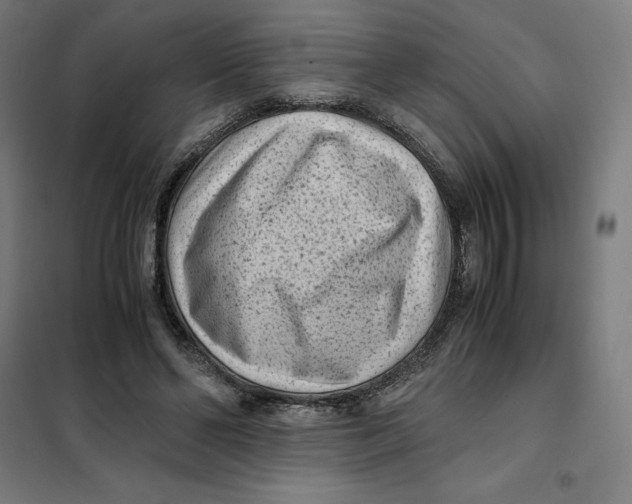 X0000101190494200807251006
