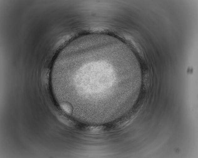 X0000101190495200807251006