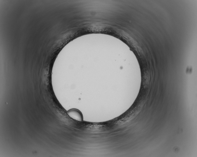 X0000101190497200807251006