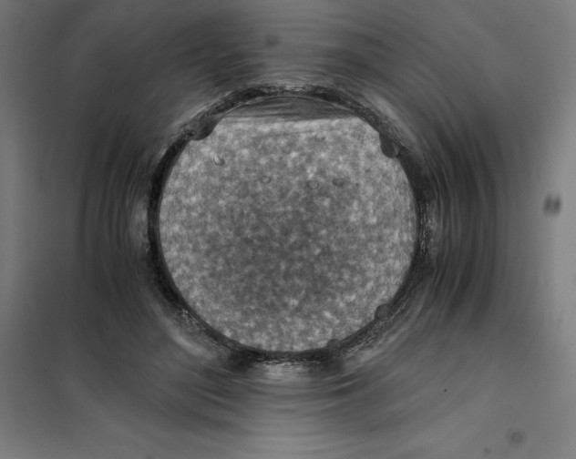 X0000101190500200807251006