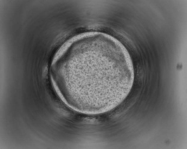 X0000101190502200807251006