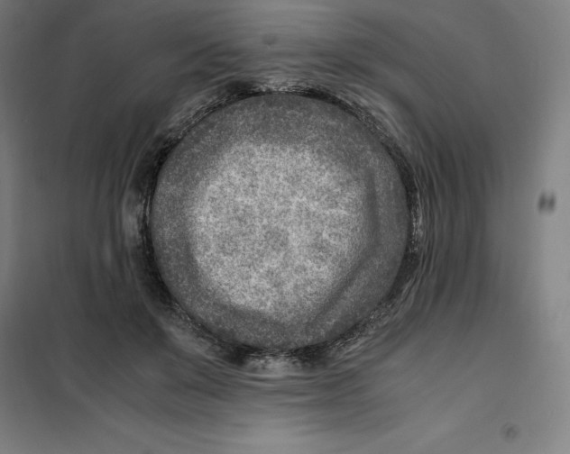 X0000101190503200807251006