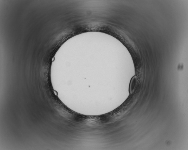 X0000101190505200807251006