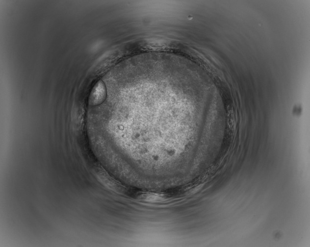 X0000101190507200807251006