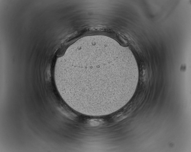 X0000101190508200807251006