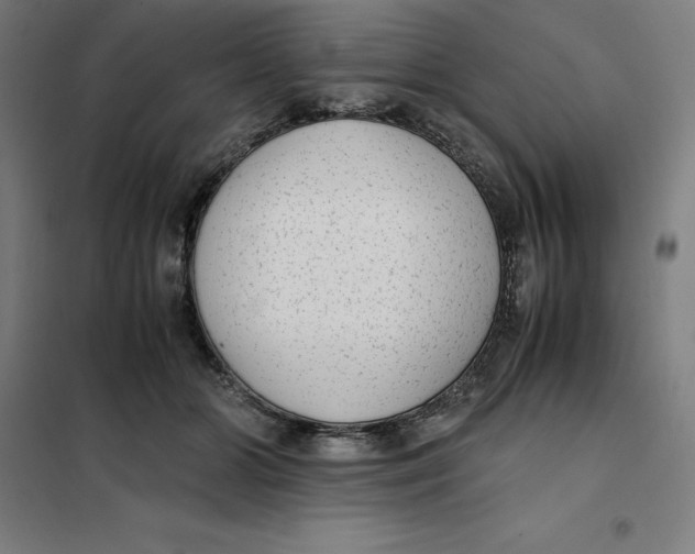 X0000101190510200807251006