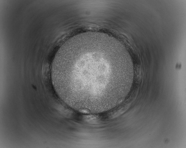 X0000101190511200807251006