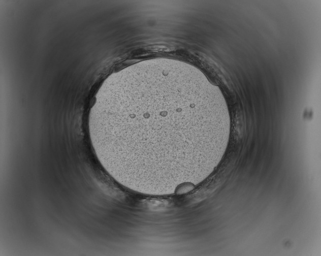 X0000101190512200807251006