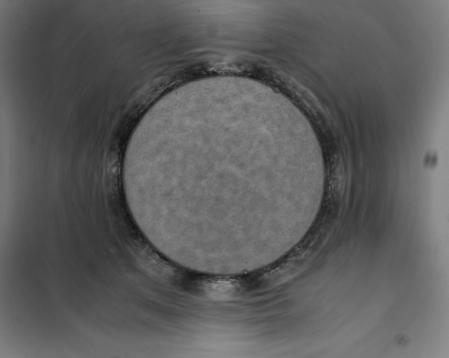 X0000101190513200807251006
