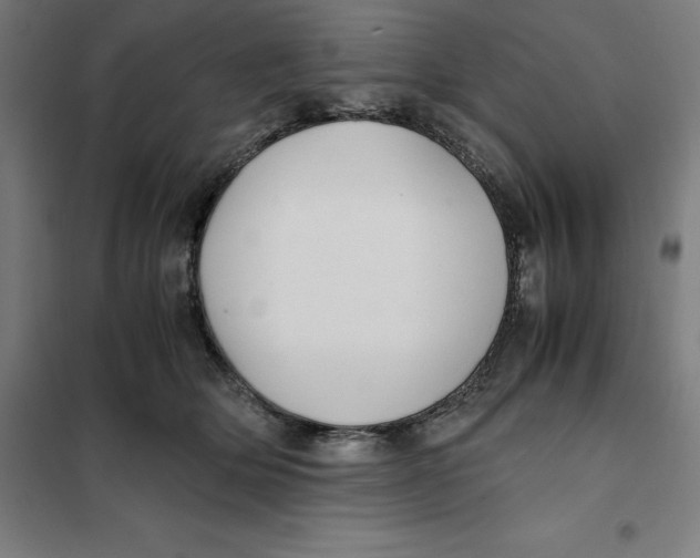 X0000101190514200807251006