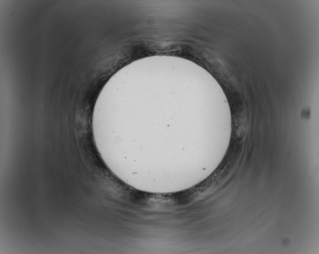 X0000101190515200807251006