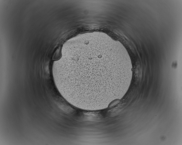 X0000101190516200807251006