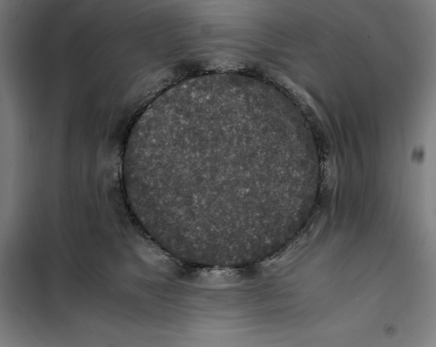 X0000101190517200807251006