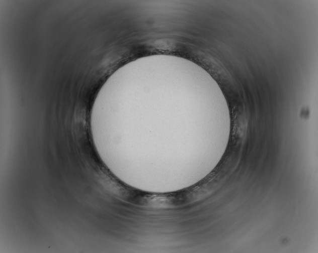 X0000101190518200807251006
