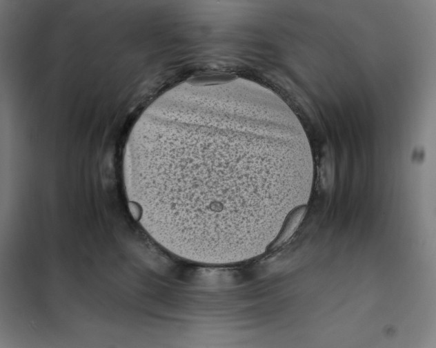 X0000101190520200807251006