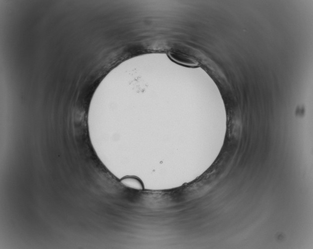 X0000101190521200807251006