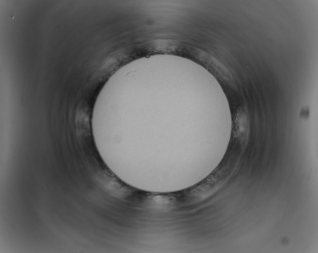 X0000101190522200807251006