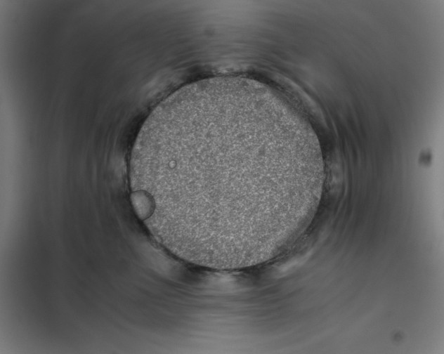 X0000101190523200807251005