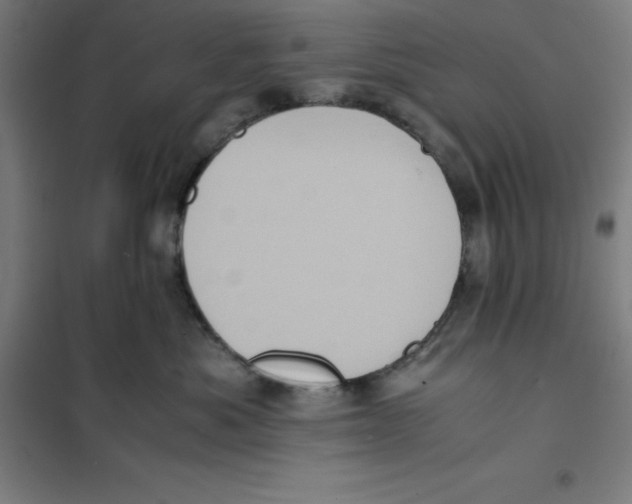 X0000101190525200807251005