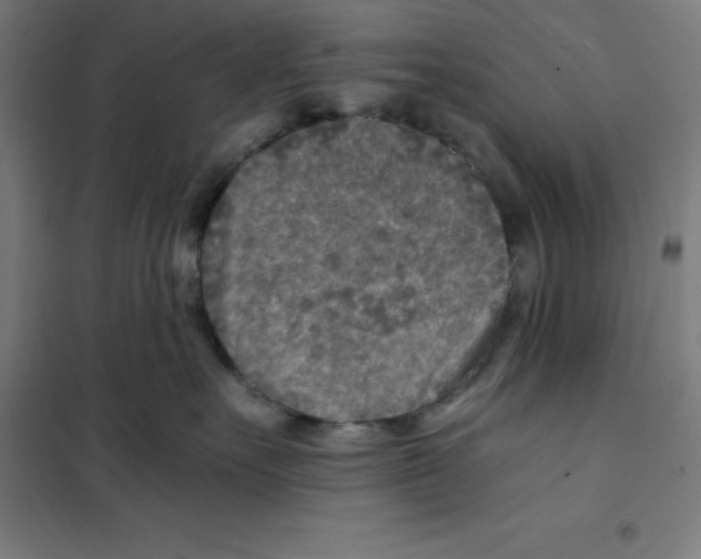 X0000101190527200807251005