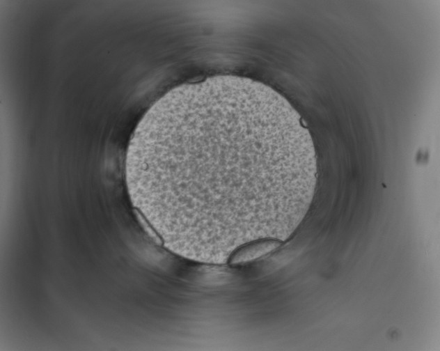 X0000101190528200807251005
