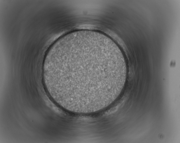 X0000101190529200807251005