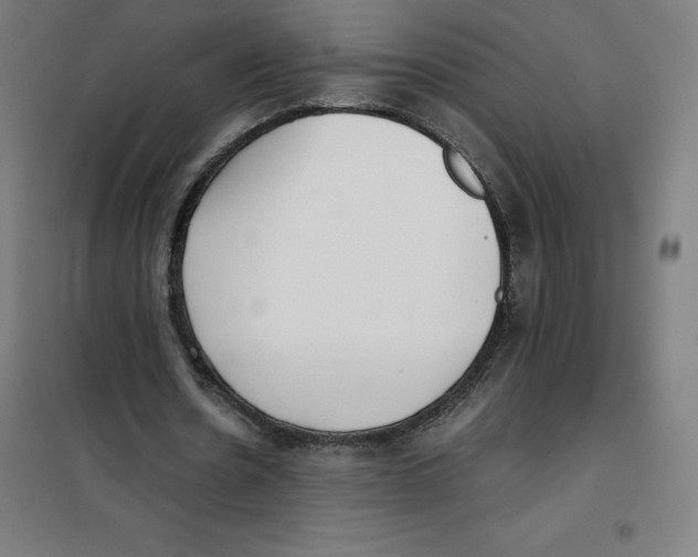 X0000101190530200807251005