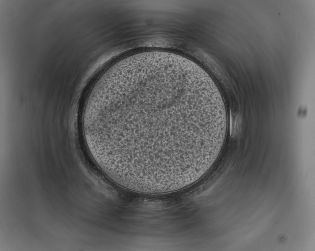 X0000101190531200807251005